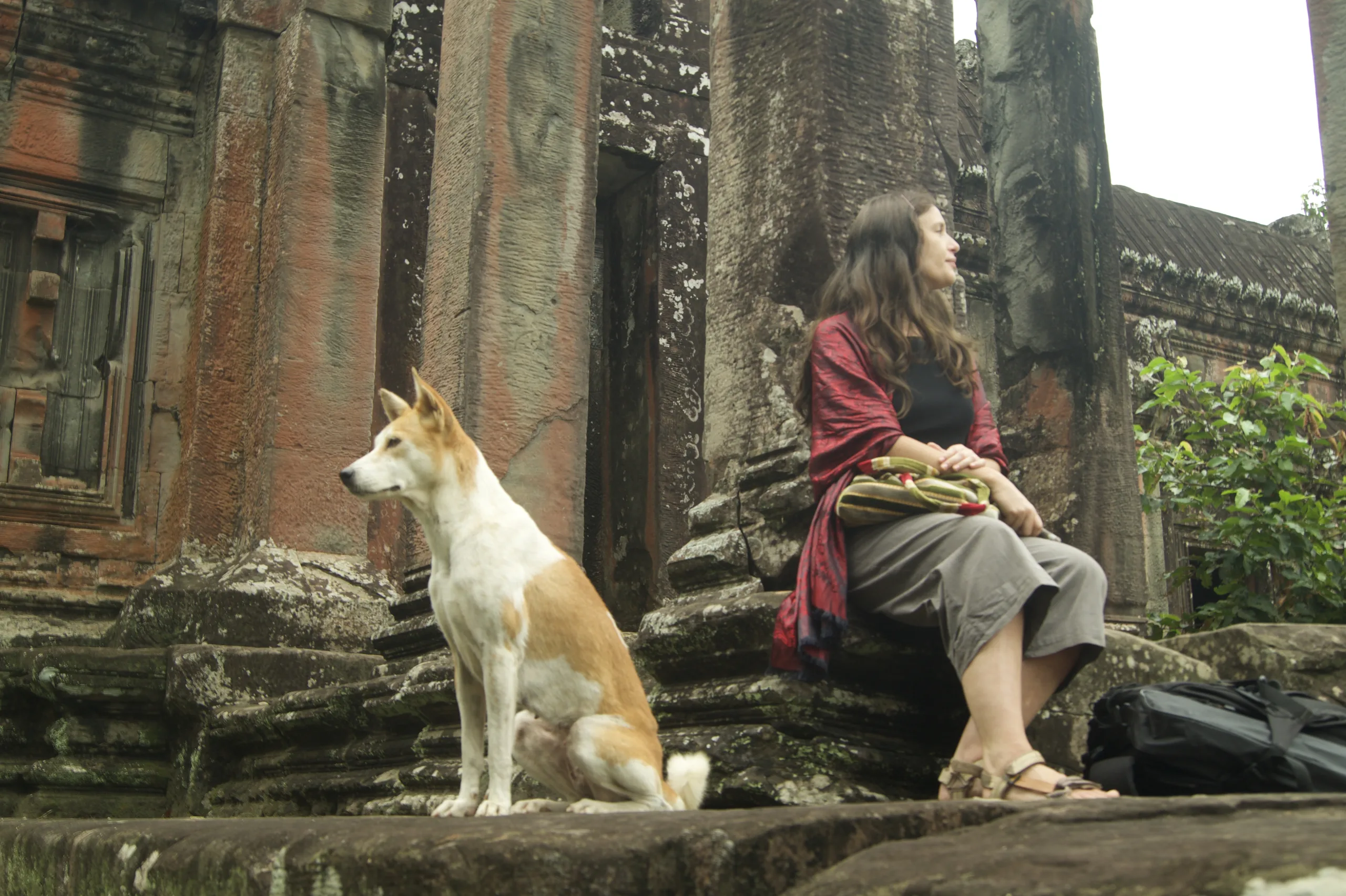 Photo of a dog we met at Angkor Wat, sitting with its back to a friend