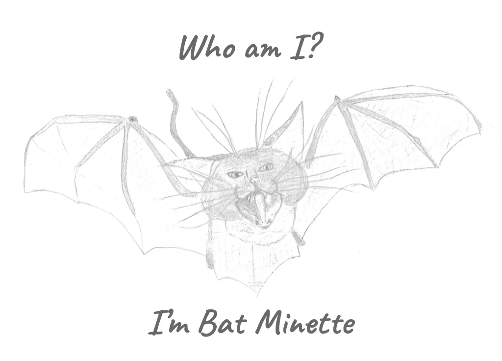 Illustration of my cat with a bat’s body